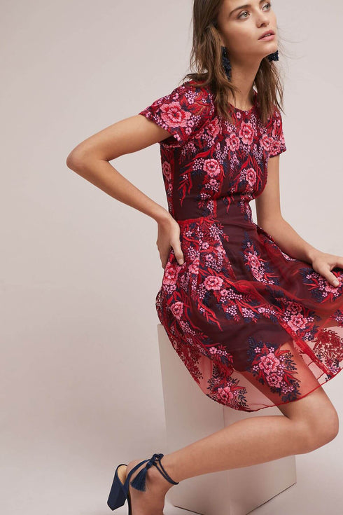 Rosa Lace Dress